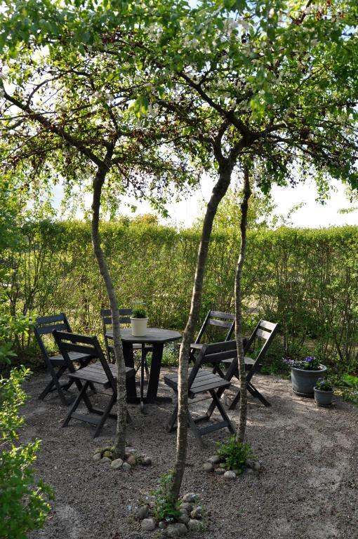 Kontakta Liselotte Abel Bed & Breakfast Vessigebro Екстериор снимка